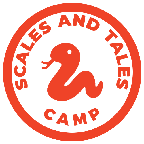 Scales & Tales Camp