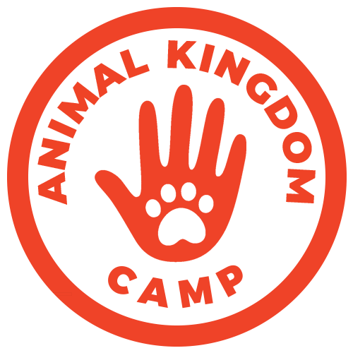 Animal Kingdom Camp