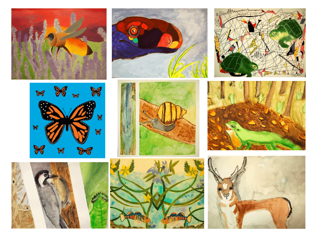 Ohio Wildlife Youth Art Contest | Erie MetroParks